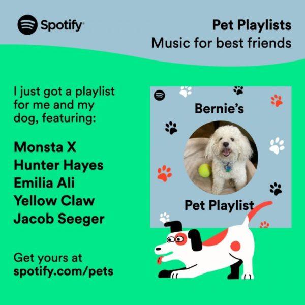 Persoonlijke playlist voor huisdieren