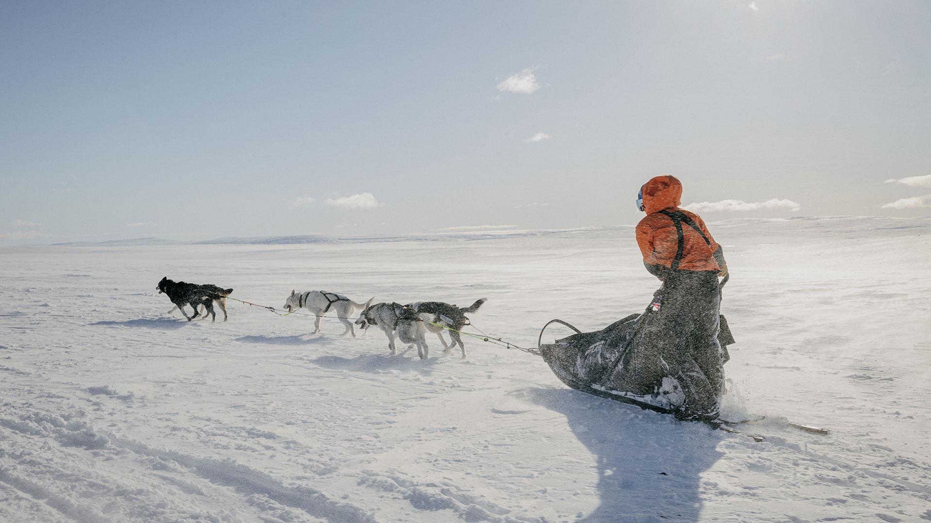 hondenslee-expeditie Fjällräven Polar