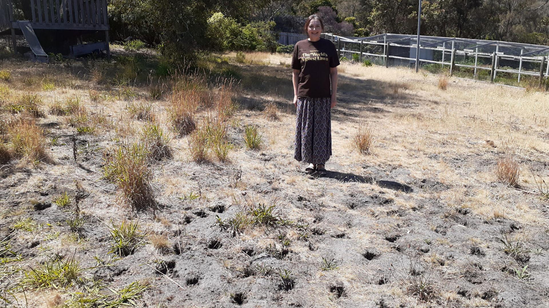 Dit is de lelijkste tuin ter wereld - JFK