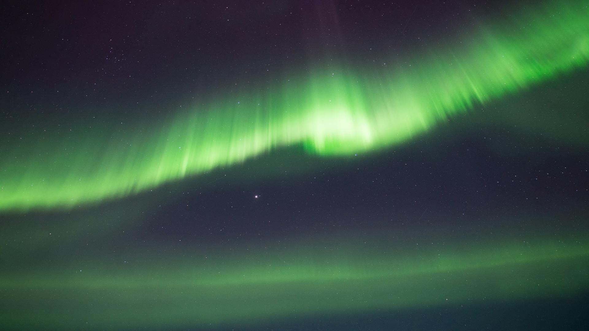 Noorderlicht Nederland: deze week te zien (zo kun je het zien) - JFK
