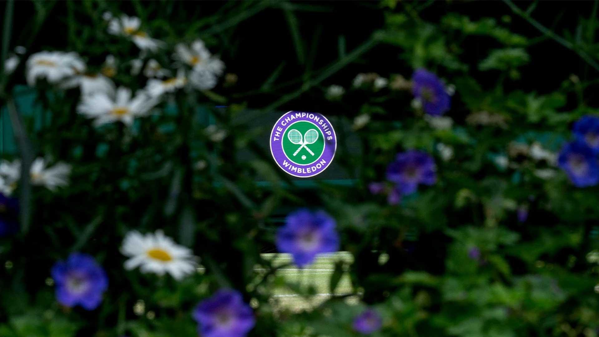 stream je Wimbledon 2025