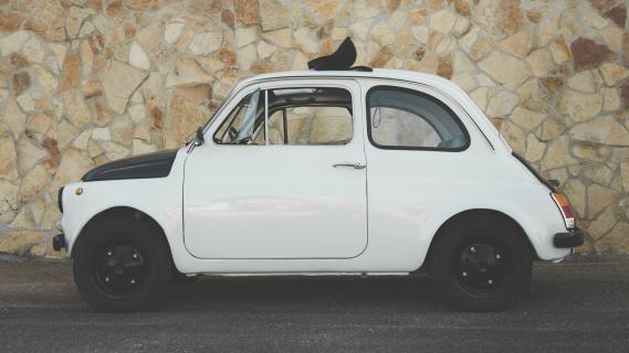 Originele Fiat 500 (wit)