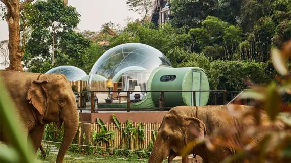 resort Thailand Jungle Bubble Lodge