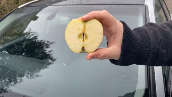 appel auto wassen