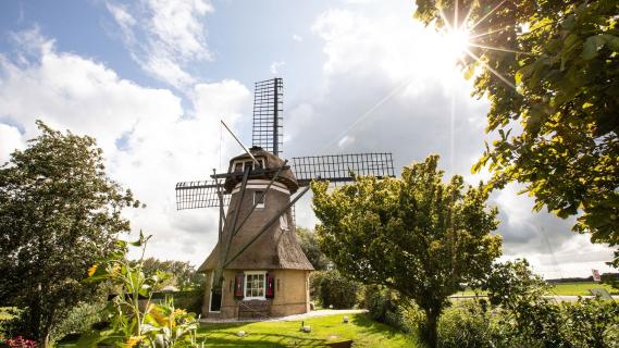 kleinste huis nederland