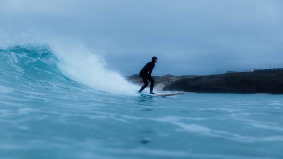surfplank bentley veiling