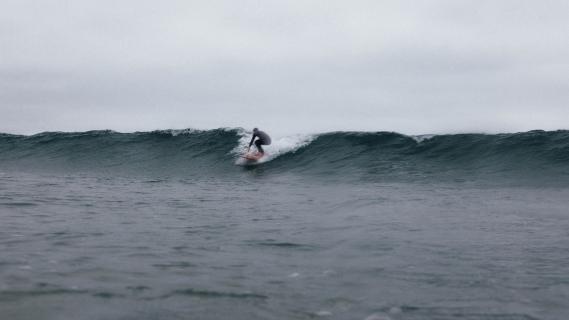 surfplank bentley water