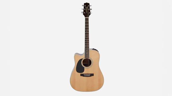 takamine gitaar kurt cobain