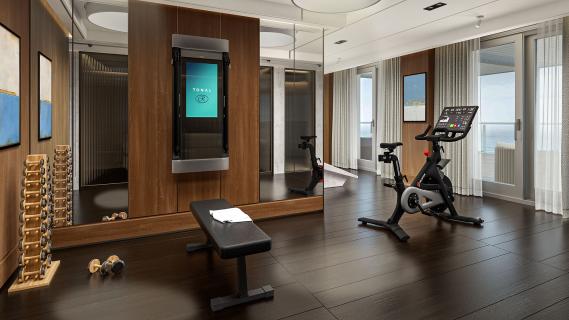 Skyview Regent Suite gym