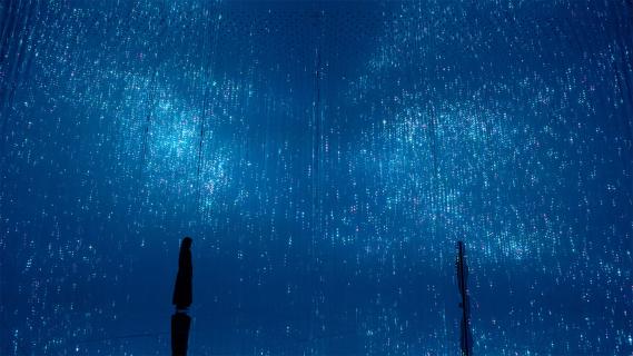 UBS Digital Art Museum 2026
