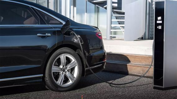auto koning willem-alexander plug-in-hybrid