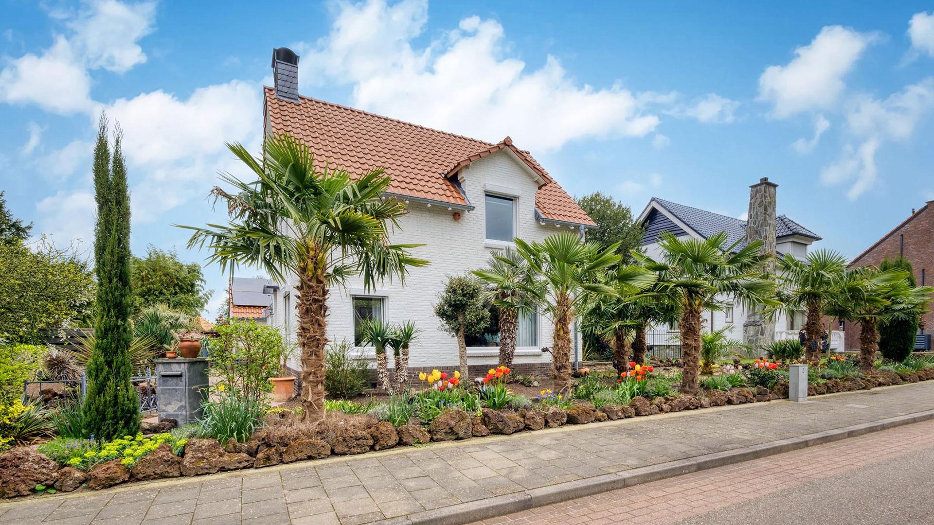 Een stukje paradijs te koop in Nederland: ontdek dit unieke tropische huis (Funda)