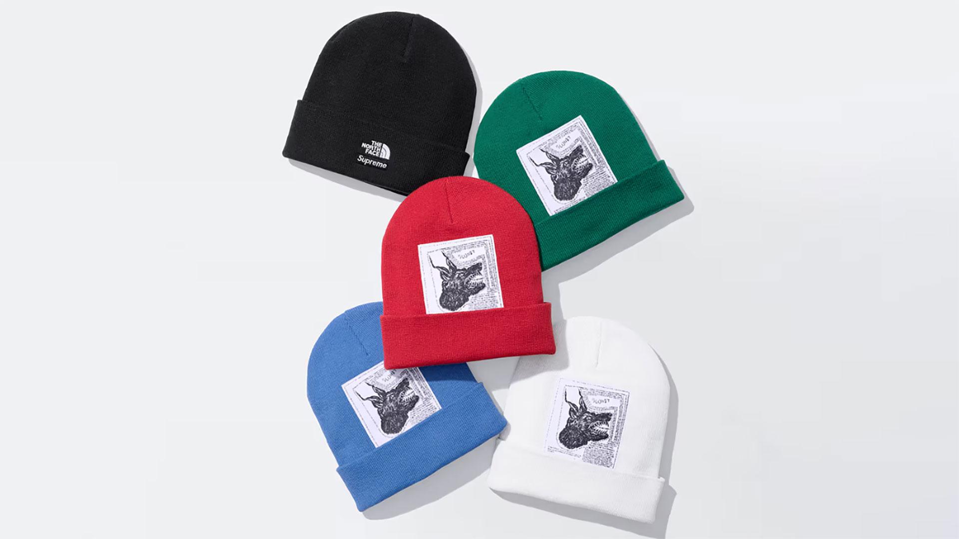 supreme the north face beanie