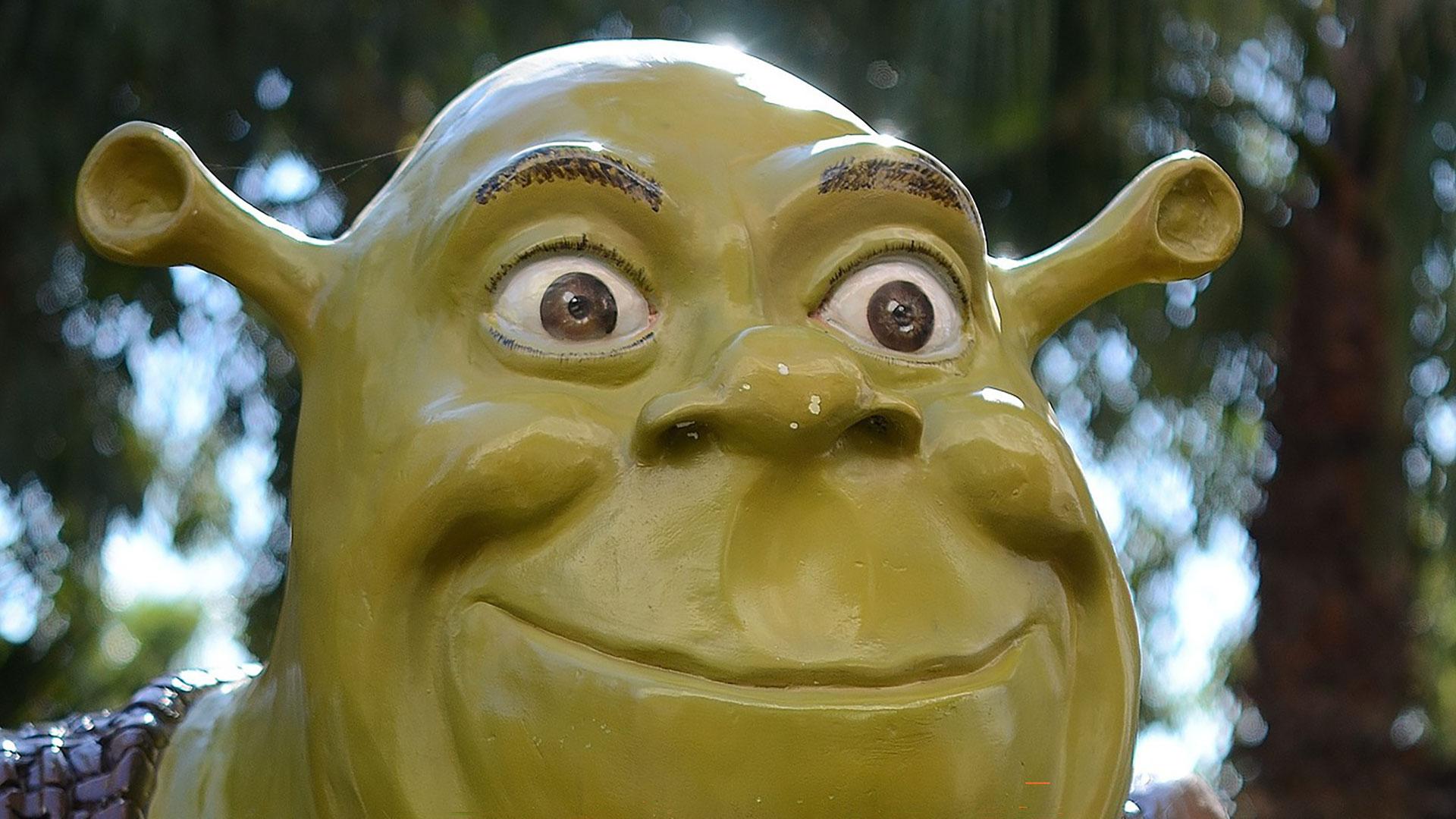 Zo ziet de viral Shrek Rave eruit JFK