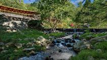 Tirranna House Frank Lloyd Wright