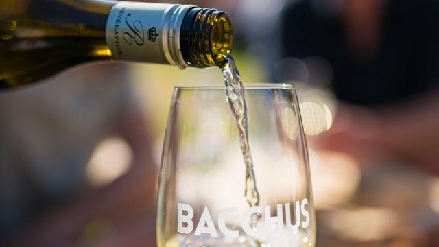Bacchus Wijnfestival