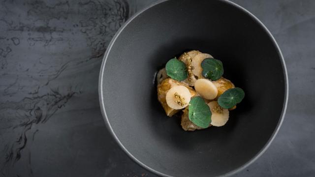 restaurant de Dyck Groene Michelinster