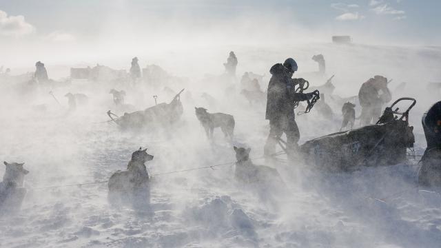 hondenslee-expeditie Fjällräven Polar
