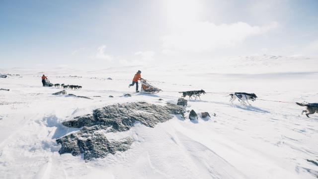 hondenslee-expeditie Fjällräven Polar