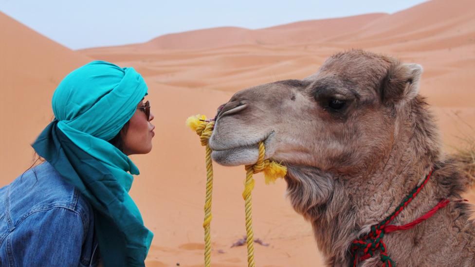 Op Kamelrechner reken je uit hoeveel kamelen je vriendin waard is