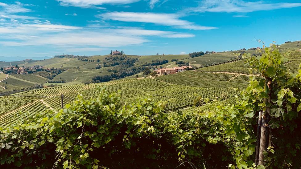 Dit Italiaanse dorp is benoemd tot ‘Stad van de Wijn’