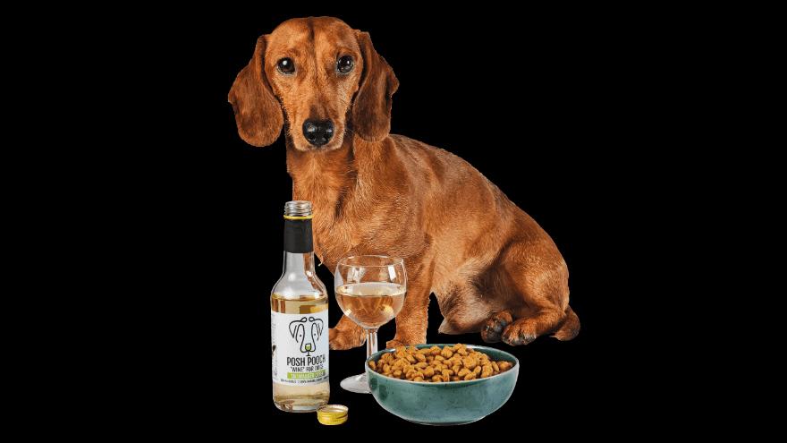 Honden en katten wijn van Aldi perfect voor de feestdagen