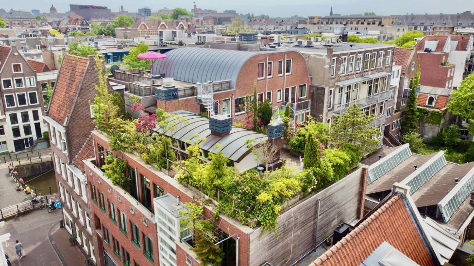 Te koop: Modern penthouse in Amsterdam met groen dakterras