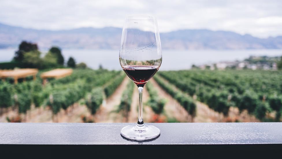 Wijnliefhebbers kunnen gratis drinken van Italiaanse wijnfontein