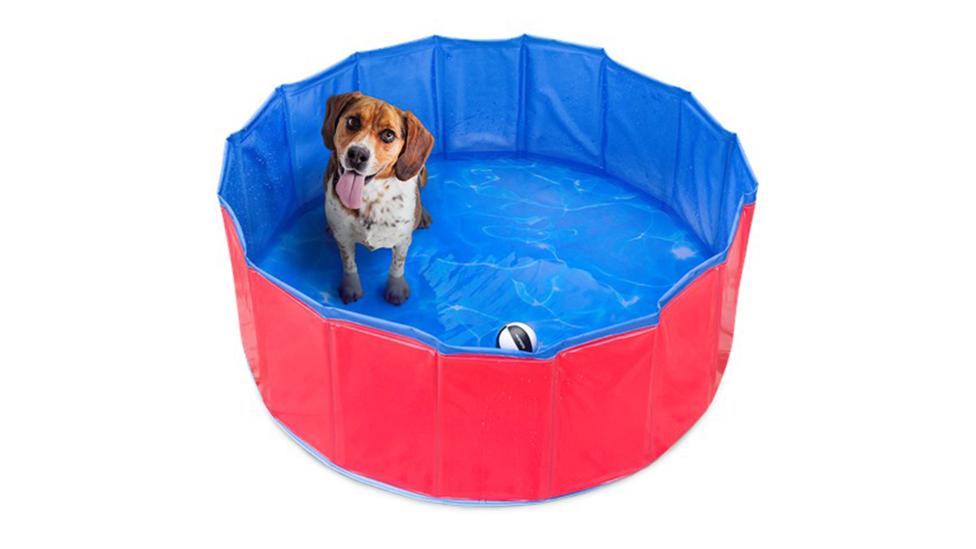 Dit hondenzwembad haal je voor een prikkie bij de Action