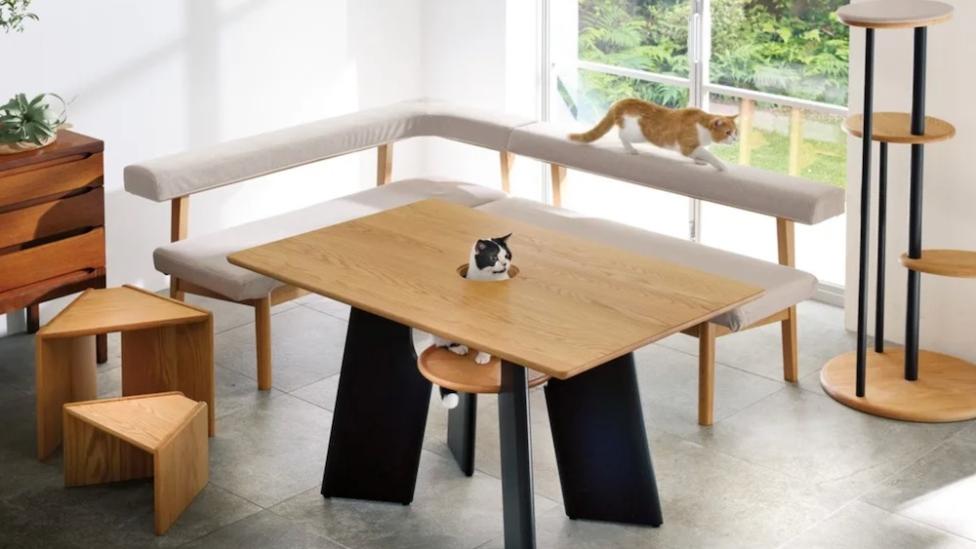 Dit is een eettafel waarbij je kat kan aanschuiven