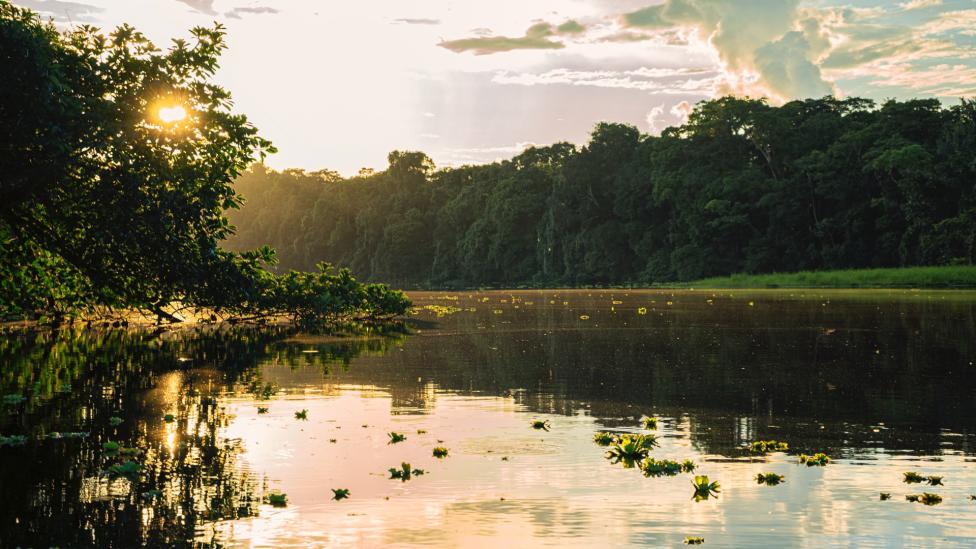Wat ligt er verborgen in het Amazoneregenwoud?