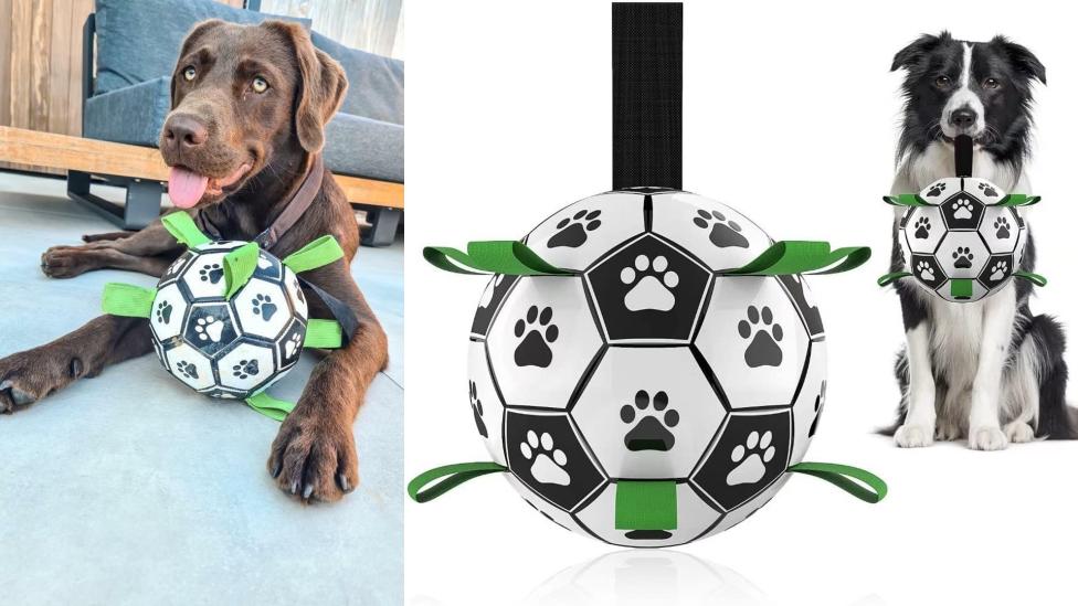 Deze voetbal met lusjes is een perfect dierendagcadeau voor je viervoeter