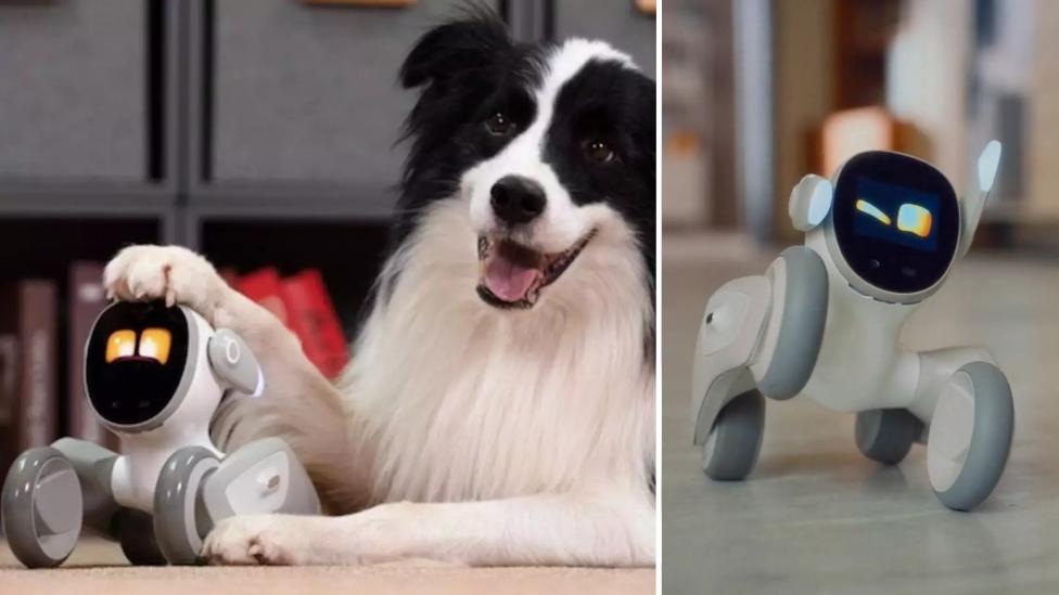 Schattig, speels en slim: robothuisdier Loona lijkt uit een tekenfilm te komen