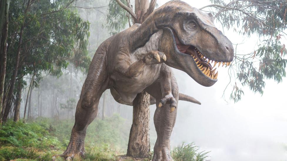 Dinosauriërs uitgestorven door enorme stofwolk na meteorietinslag