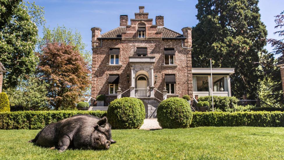 Eet als royalty in deze culinaire Nederlandse kastelen