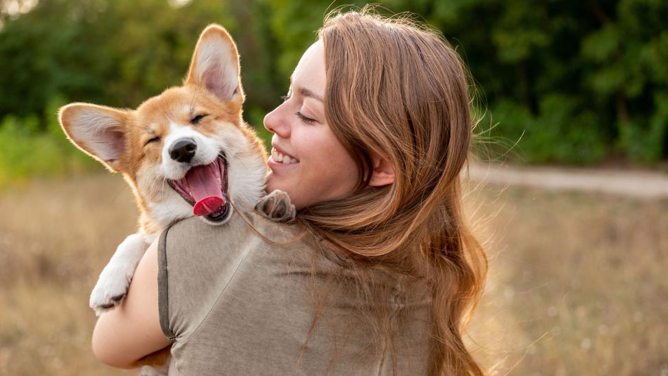 Met DogGPT vind je de hond die bij jou past