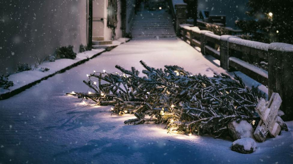 Tot wanneer mag die kerstboom eigenlijk blijven staan?