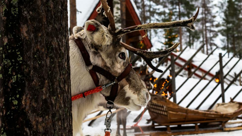 Dit is waarom ze in Lapland twee keer Kerstmis vieren