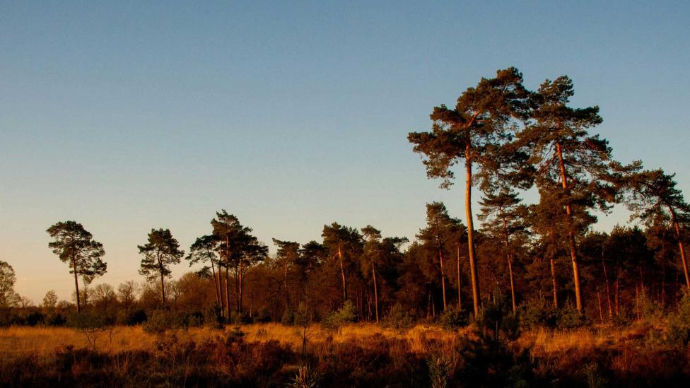 Déze Nederlandse regio is één van de meest gastvrije regio’s ter wereld