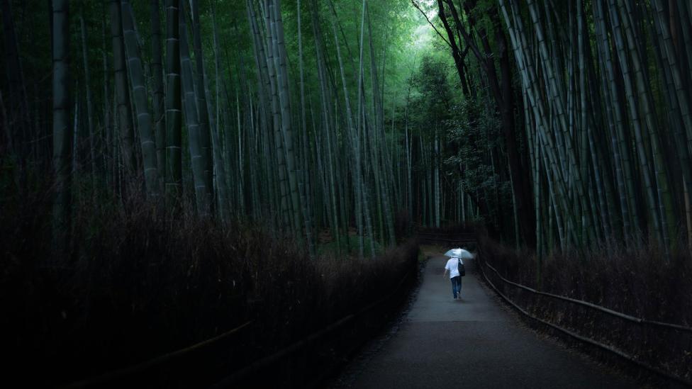Waarom Japanners slimmer wandelen dan wij (en hoe jij dat ook kunt doen)