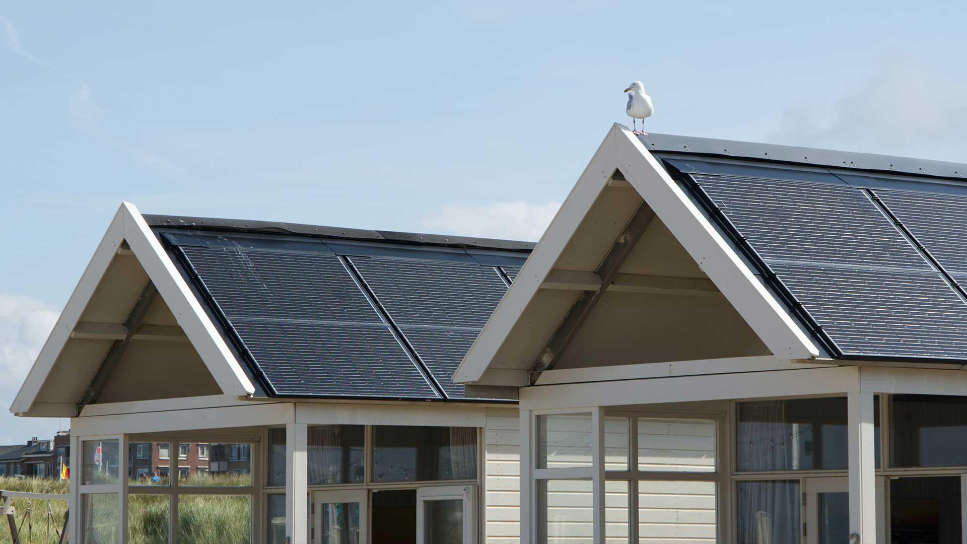 Solar panels / solar panel on two houses