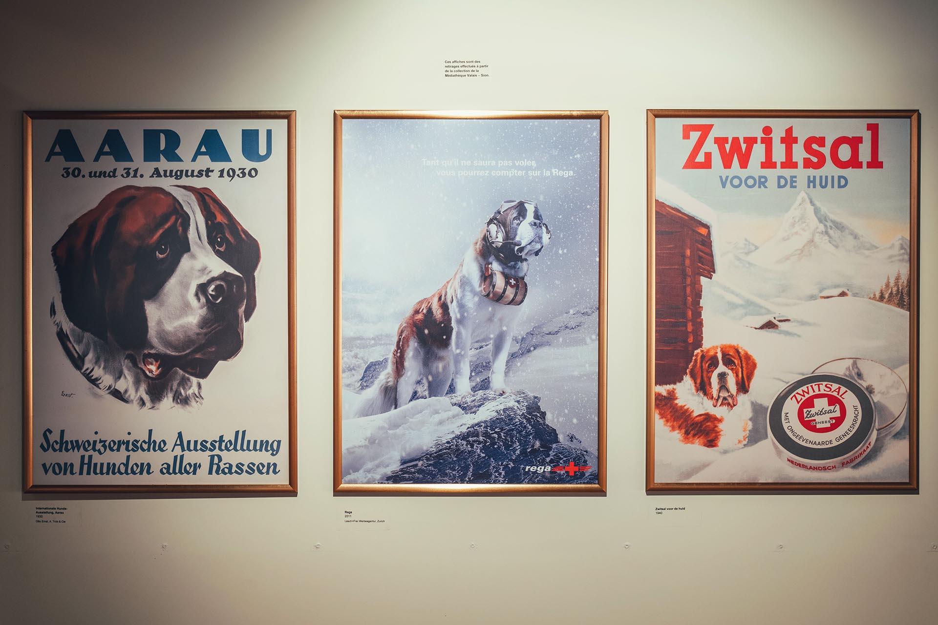 Posters (affiches) Sint Bernard hond BMW M3 Touring