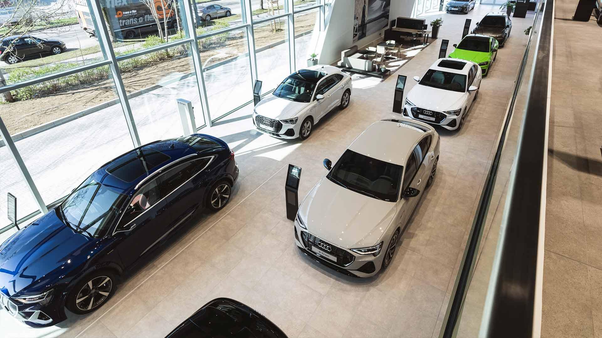 Audi showroom dealer