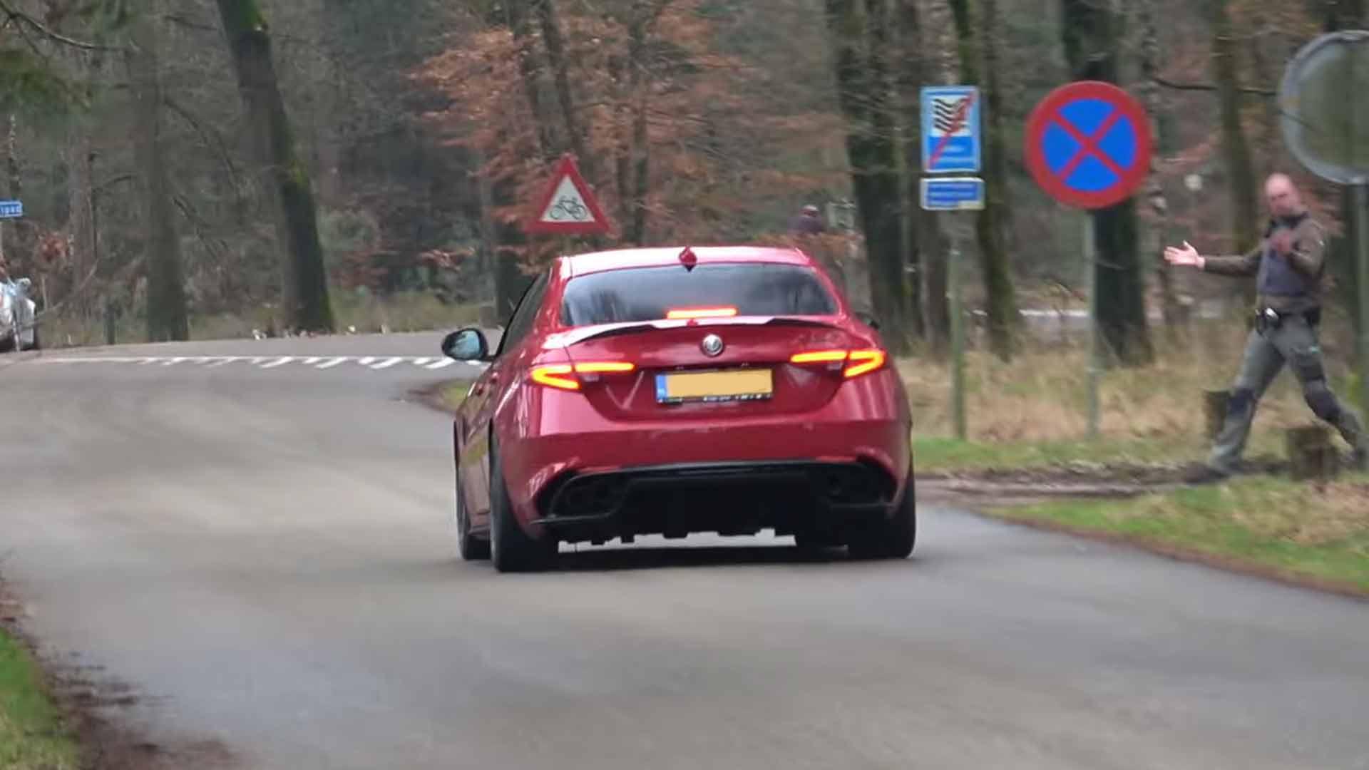 Controversial Car Video in Forest Sparks Outrage from Ranger and Animal Rights Activists