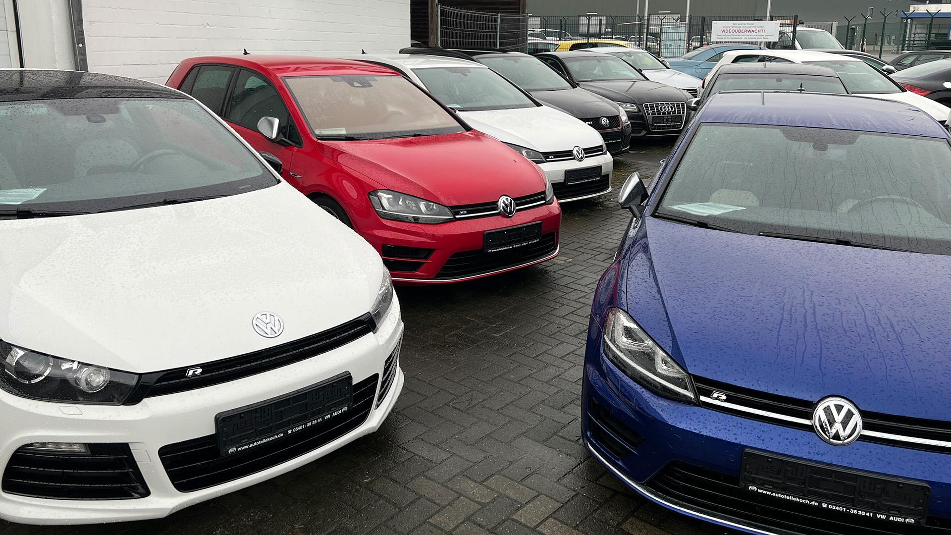 Volkswagens bij elkaar