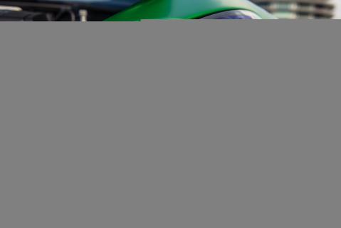 Mercedes-AMG GT R test drive 2017 groene gevaar (1)
