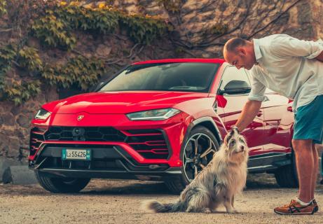 Lamborghini Urus en hond
