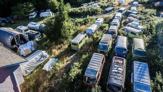 55 verwaarloosde Volkswagen-busjes