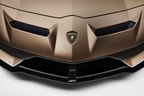 Lamborghini Aventador SVJ Roadster 2019 neus badge ALA