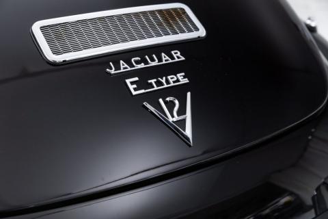Jaguar E-Type van Jort Kelder